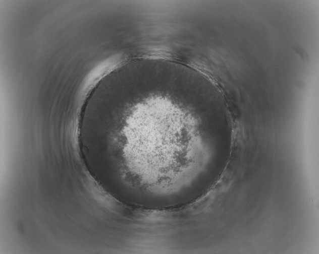X0000115050293200911091431