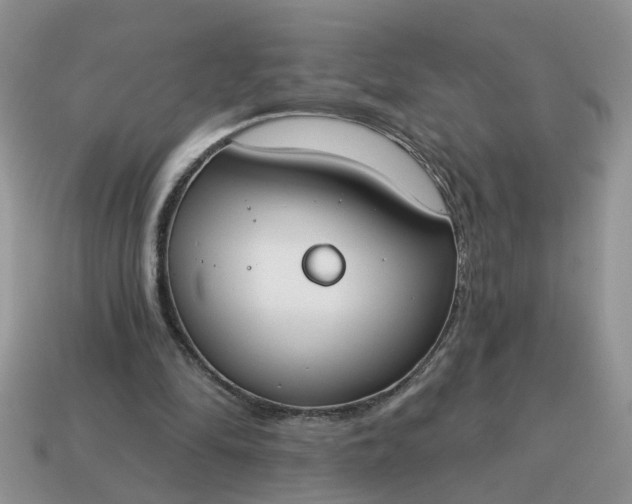 X0000115050294200911091431