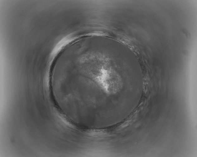 X0000115050296200911091431