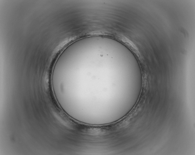 X0000115050298200911091431