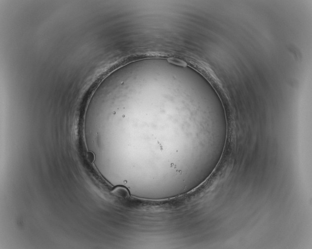 X0000115050299200911091431