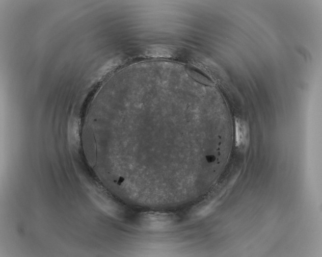 X0000115050300200911091431