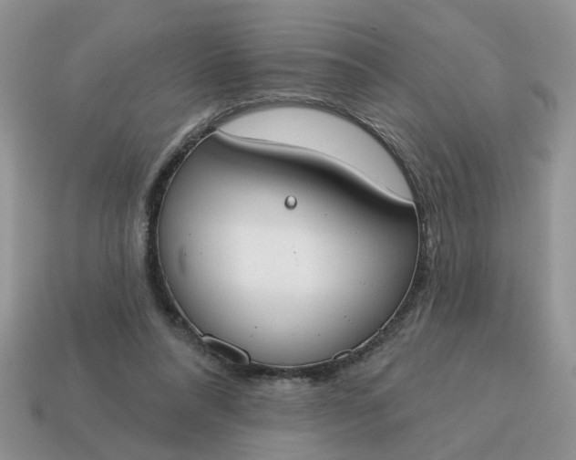 X0000115050304200911091431