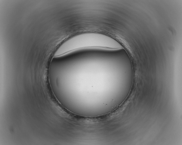 X0000115050305200911091431