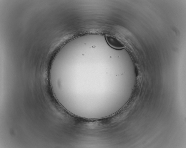 X0000115050306200911091431