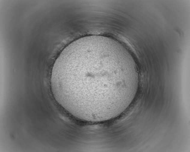 X0000115050307200911091430