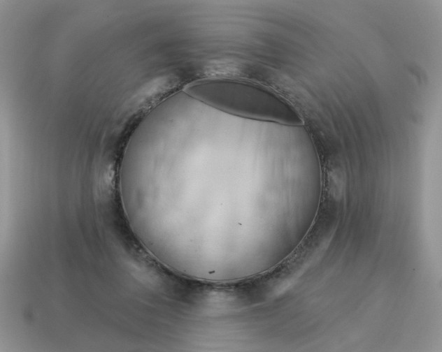 X0000115050308200911091430