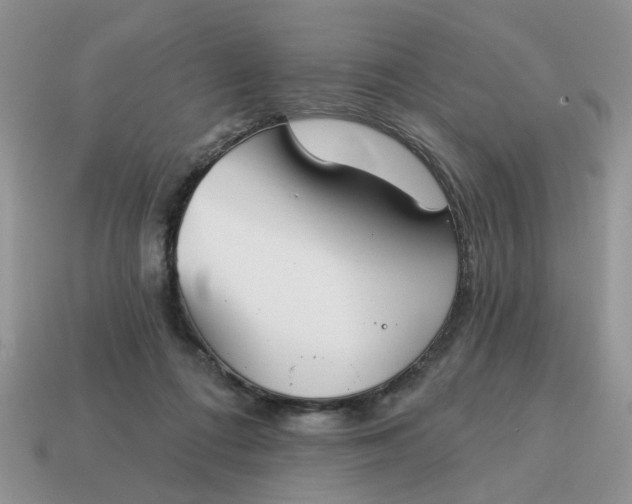 X0000115050312200911091430