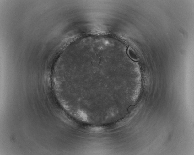 X0000115050313200911091430