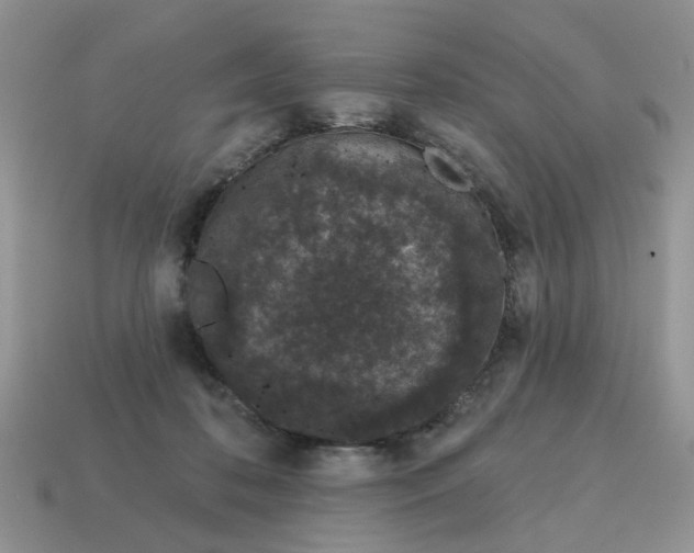 X0000115050316200911091430