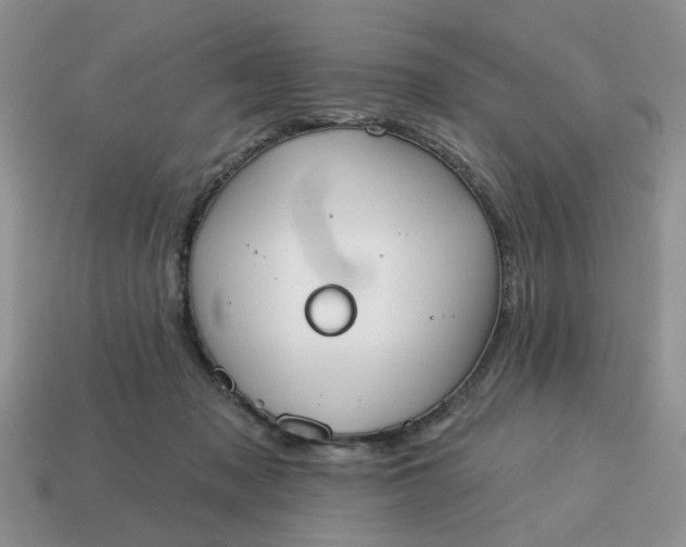 X0000115050317200911091430