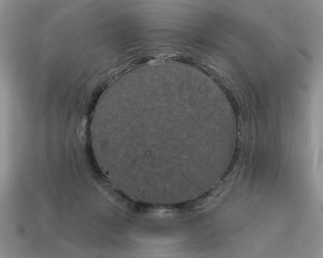 X0000115050319200911091430