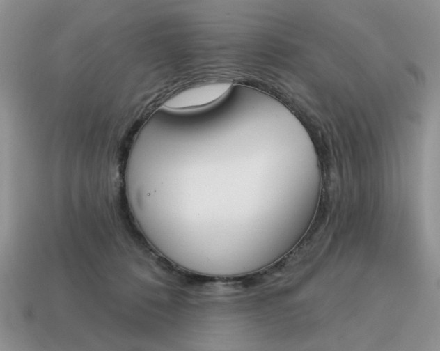 X0000115050320200911091430