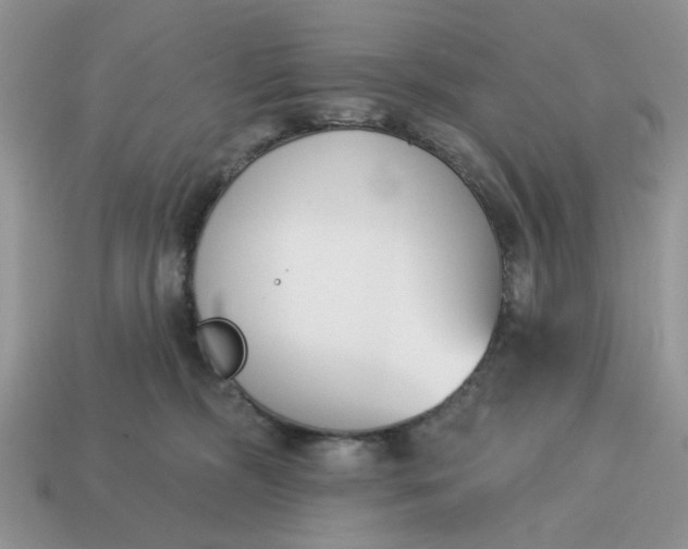 X0000115050326200911091430