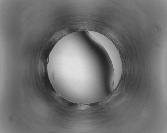 X0000115050333200911091430