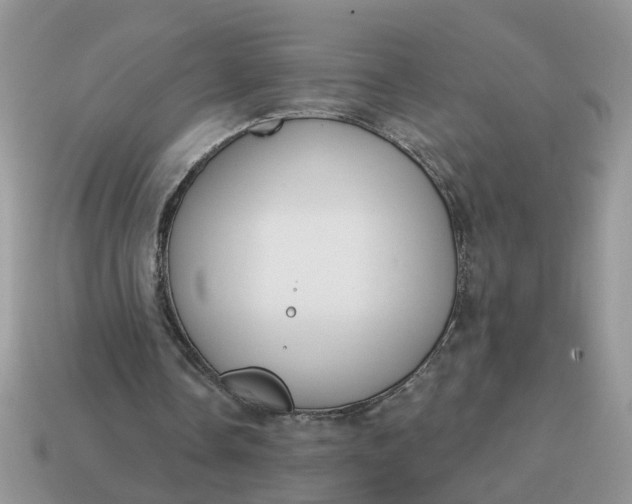 X0000115050338200911091430