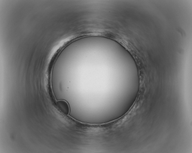 X0000115050342200911091430