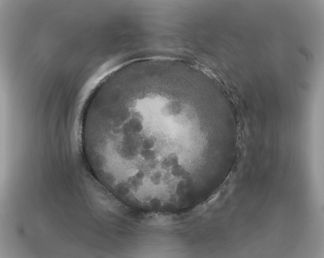 X0000115050343200911091430