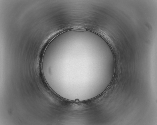 X0000115050346200911091430