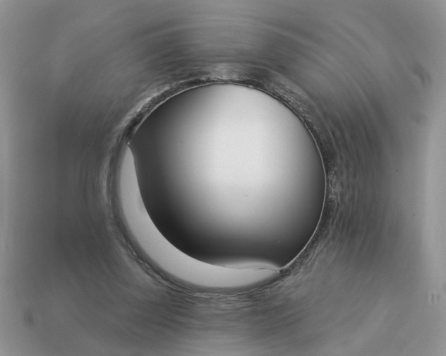 X0000115050347200911091430