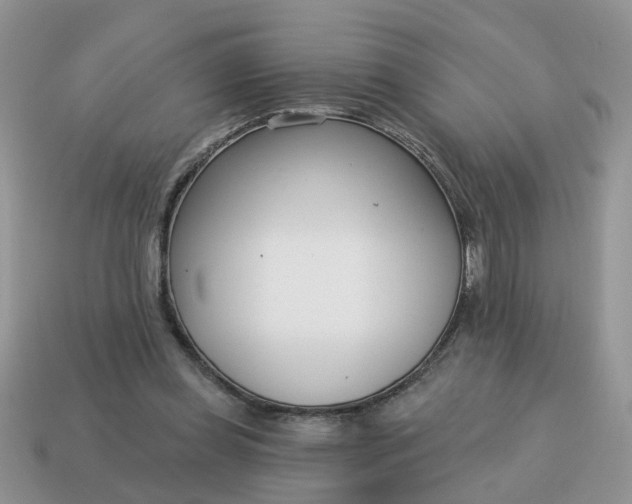 X0000115050349200911091430