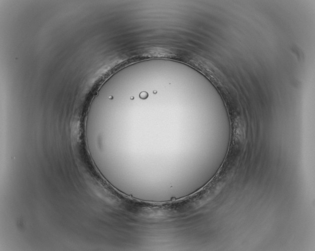 X0000115050351200911091430