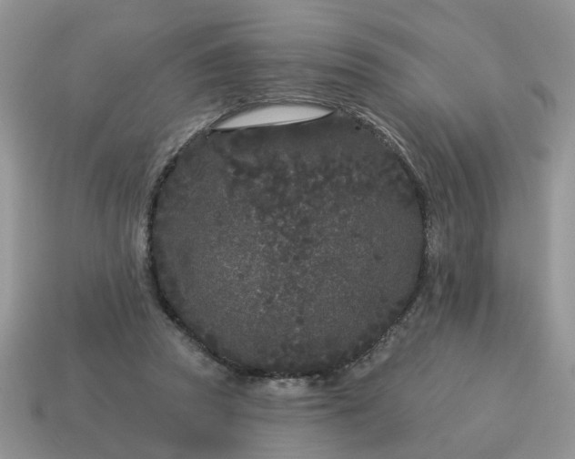 X0000115050353200911091430