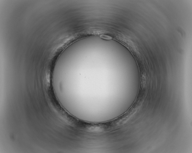 X0000115050358200911091430