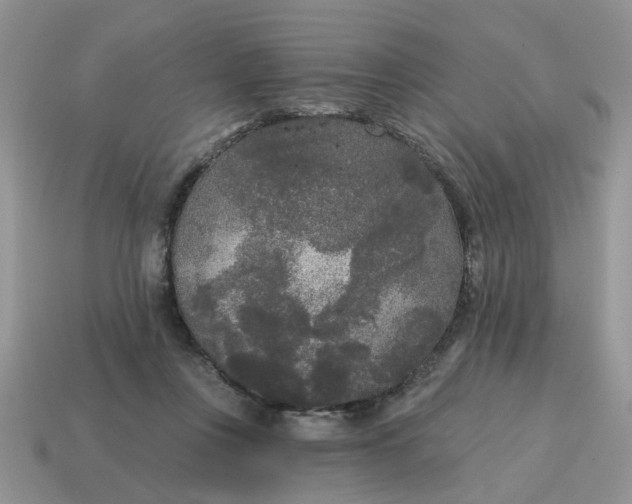 X0000115050359200911091430