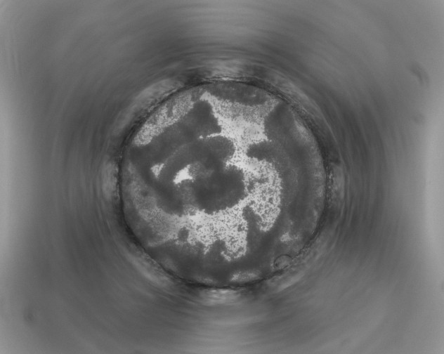 X0000115050361200911091430