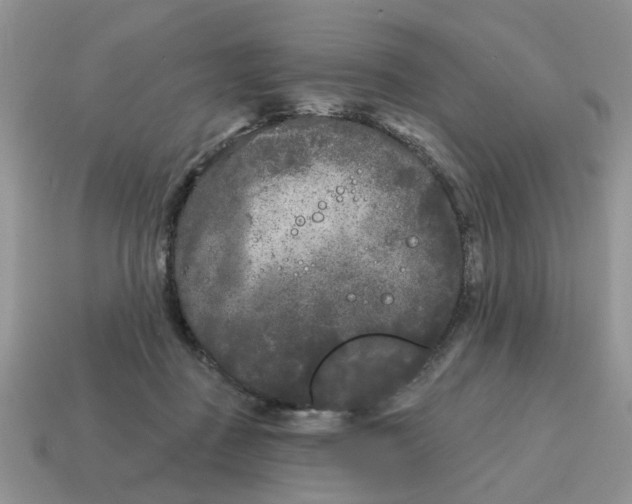 X0000115050363200911091430