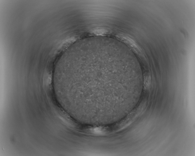 X0000115050365200911091430