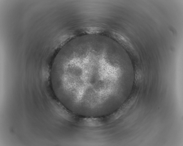 X0000115050367200911091430