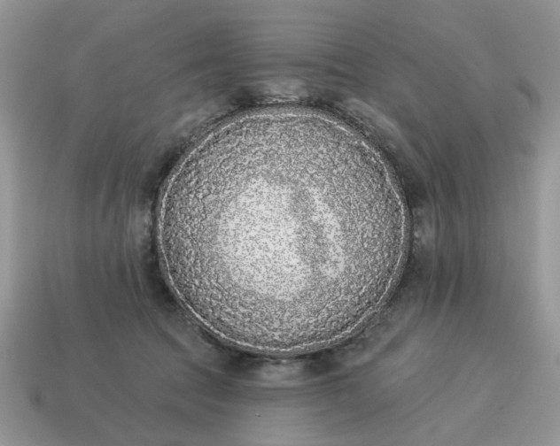 X0000115050369200911091430