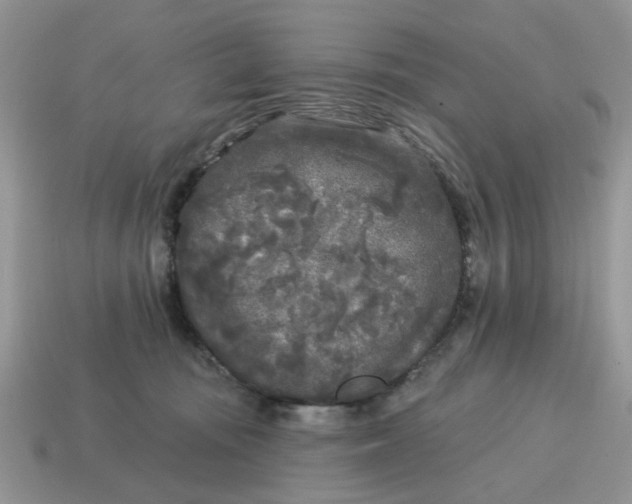 X0000115050371200911091430