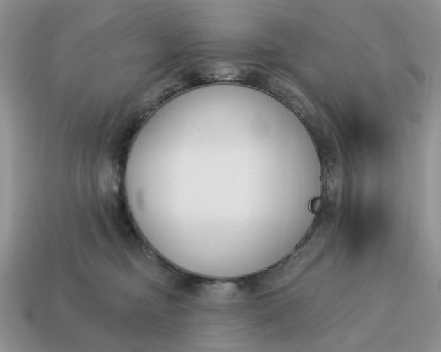 X0000115050374200911091430