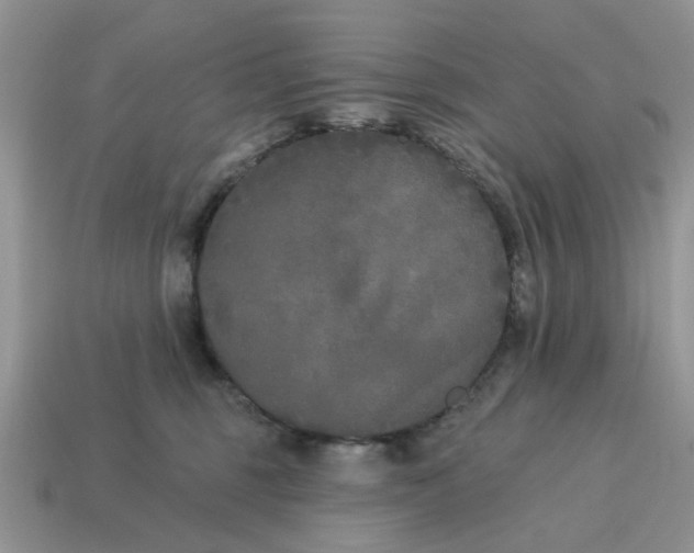 X0000115050375200911091430