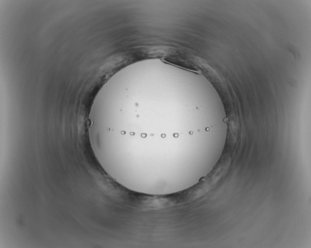 X0000115050379200911091430