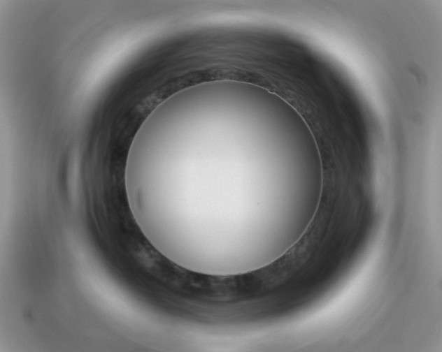 X0000115050382200911091430