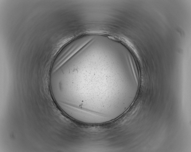 X0000115050385200911091429