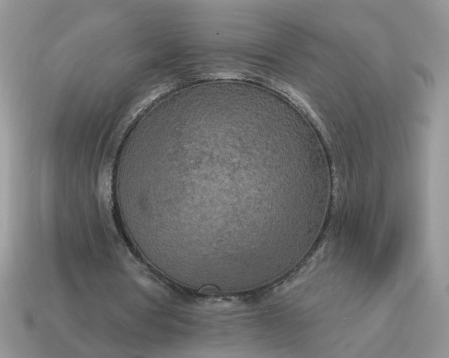 X0000115050386200911091429