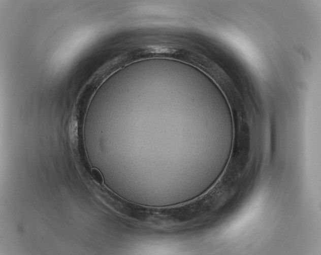 X0000115050387200911091429