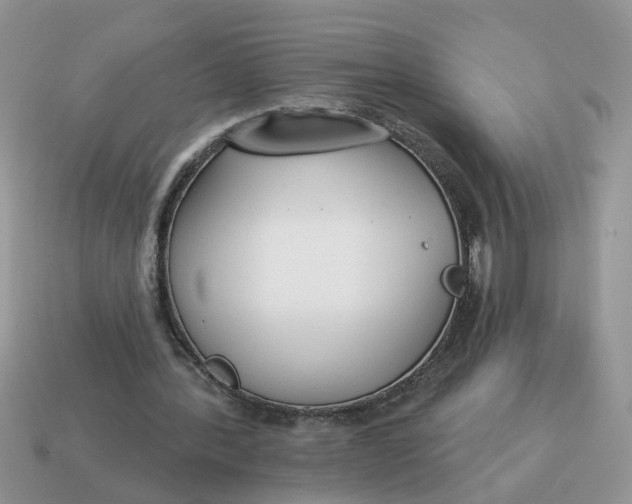 X0000115050388200911091429