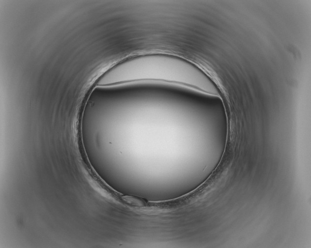X0000115050389200911091429