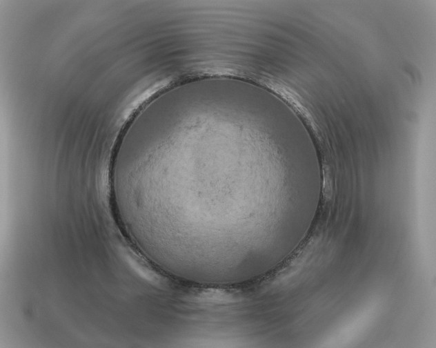 X0000115050390200911091429
