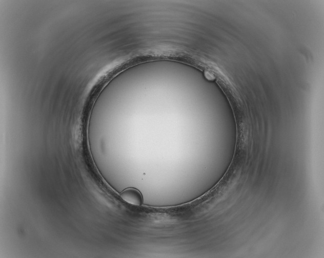 X0000115050392200911091429