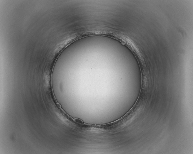 X0000115050393200911091429
