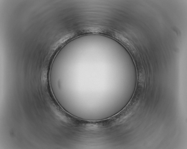 X0000115050394200911091429