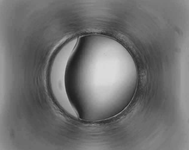 X0000115050395200911091429