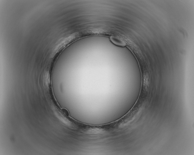 X0000115050397200911091429